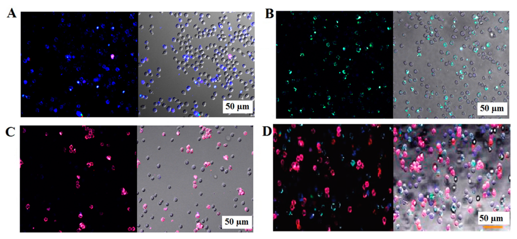 Sensors 14 18302f5 1024