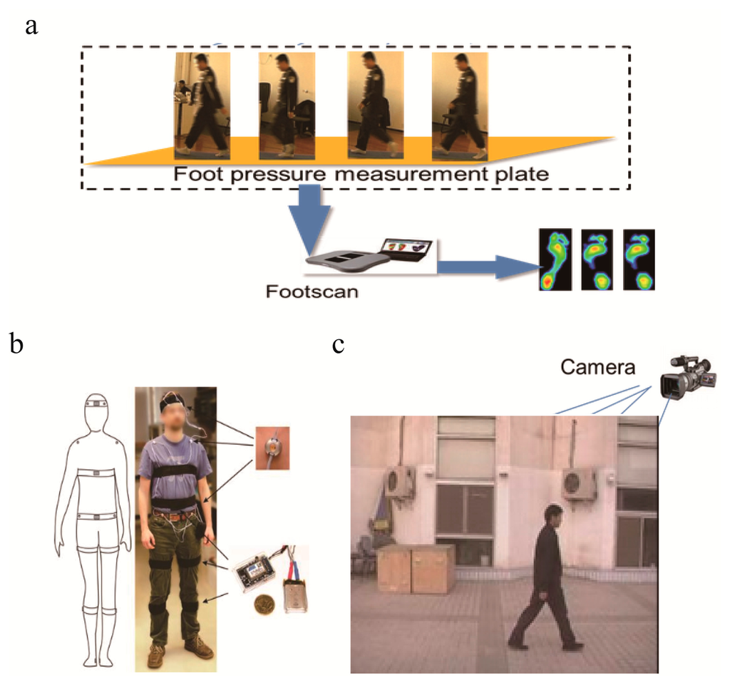 Sensors 15 00932f1 1024
