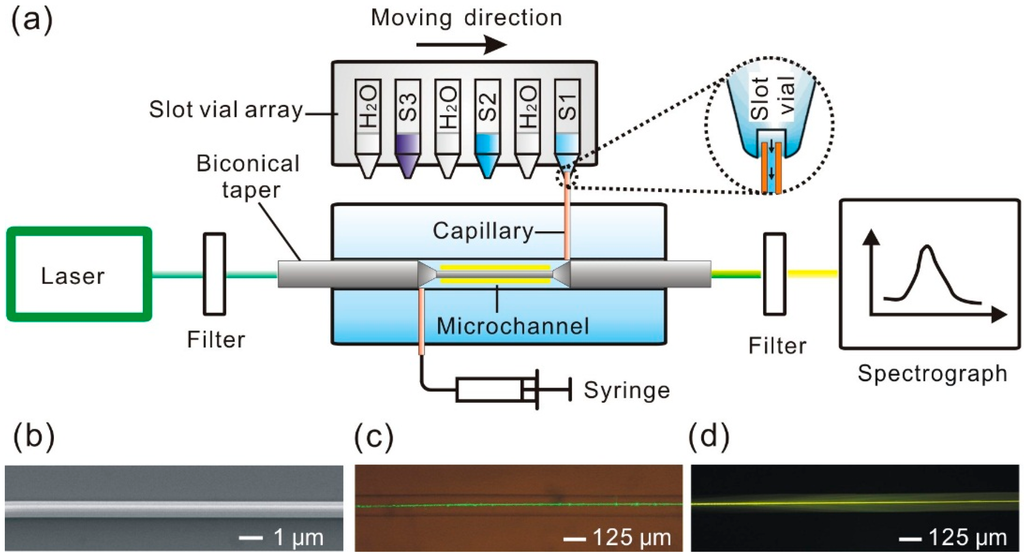 Sensors 15 04890 g001 1024