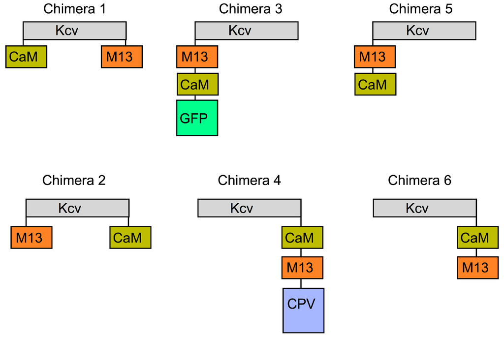 Sensors 15 04913 g002 1024
