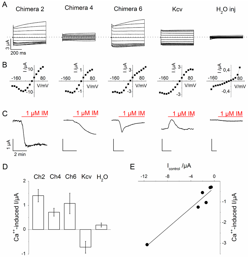 Sensors 15 04913 g003 1024