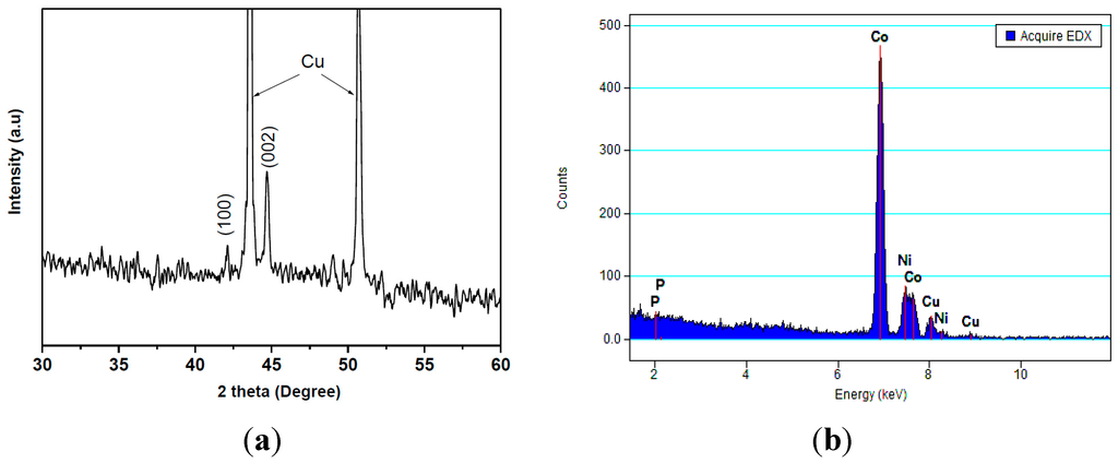 Sensors 15 05687 g004 1024