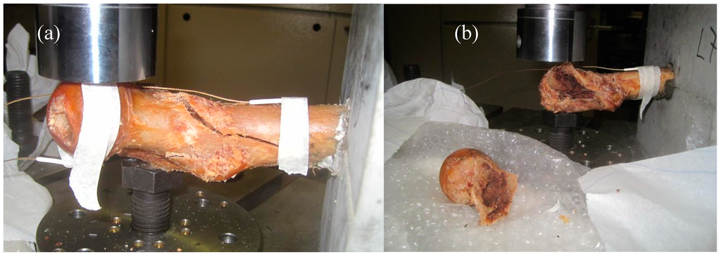 Sensors 15 05803 g004 1024