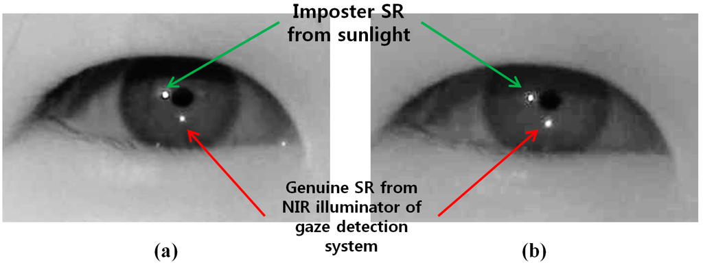 Sensors 15 05935 g003 1024