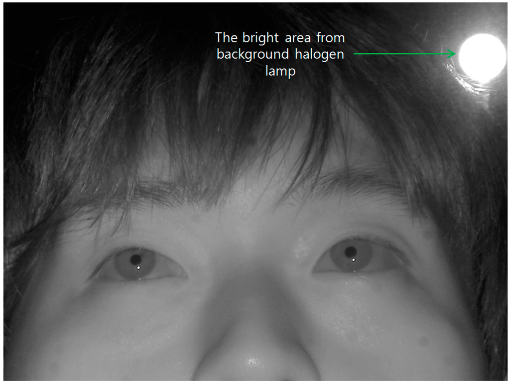 Sensors 15 05935 g004 1024