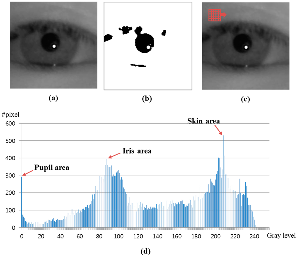 Sensors 15 05935 g007 1024