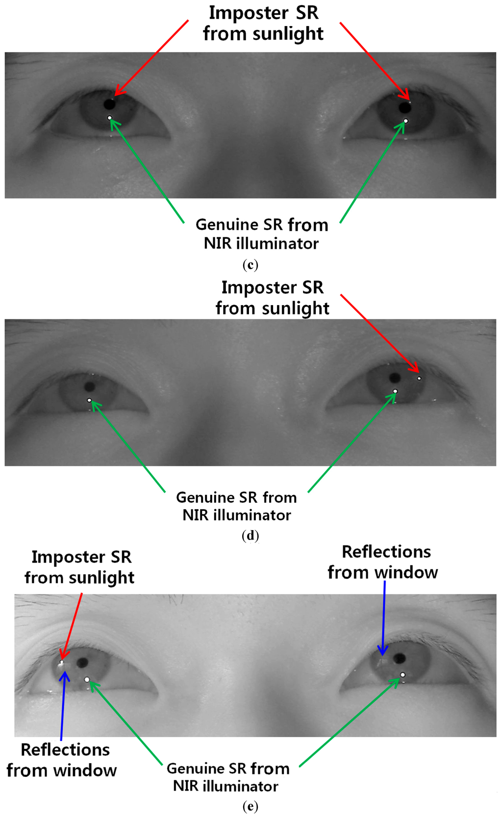 Sensors 15 05935 g027b 1024