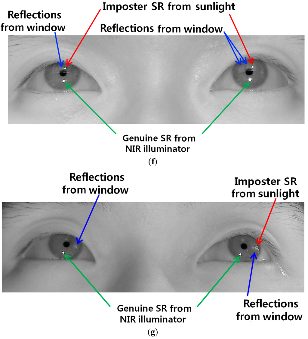 Sensors 15 05935 g027c 1024