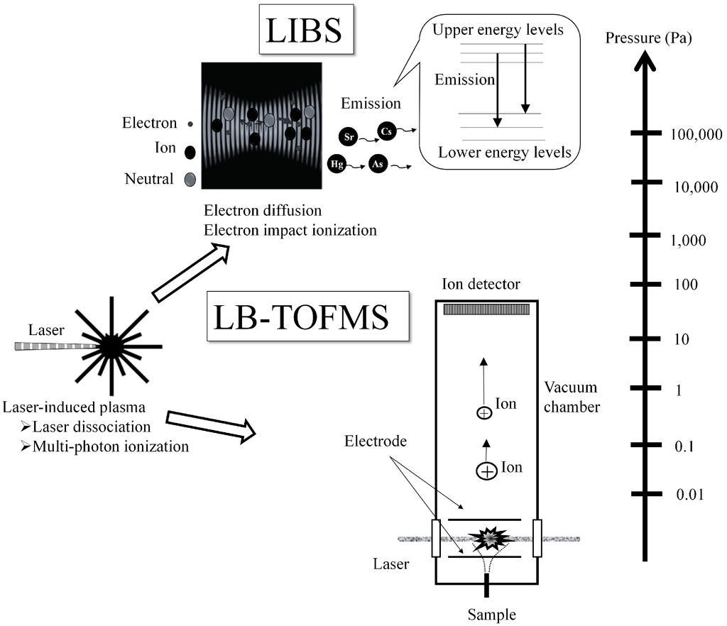 Sensors 15 05982 g001 1024