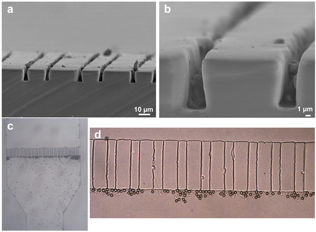 Sensors 15 06091 g006 1024