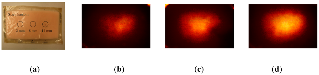 Sensors 15 06306 g003 1024