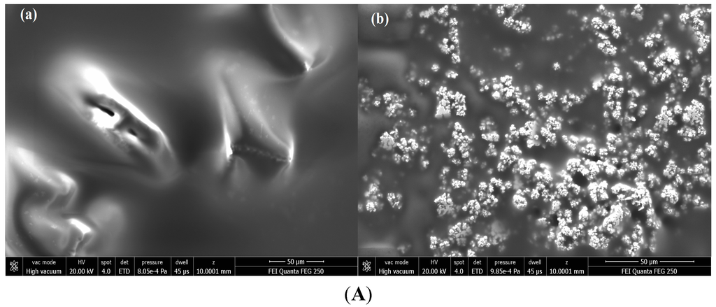 Sensors 15 07605 g001a 1024