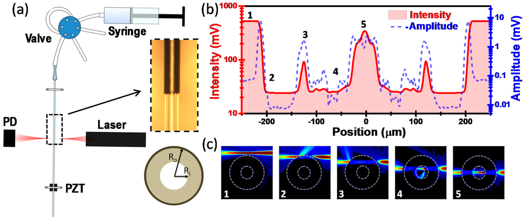 Sensors 15 07650 g001 1024