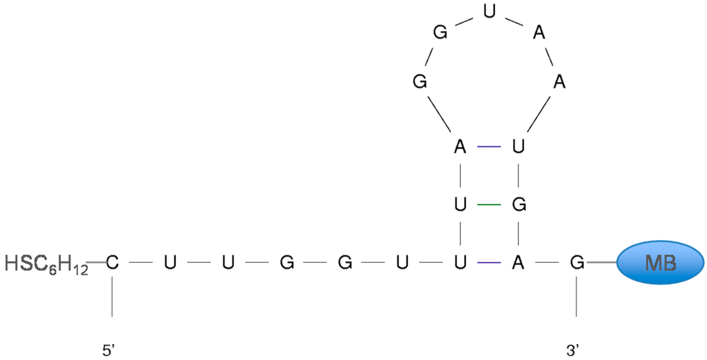 Sensors 15 07754 g002 1024