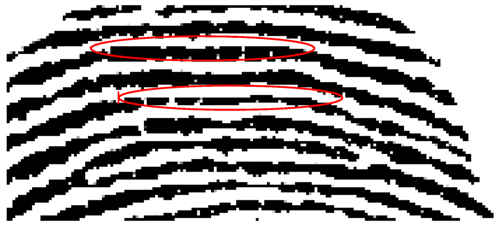 Sensors 15 07807 g003 1024