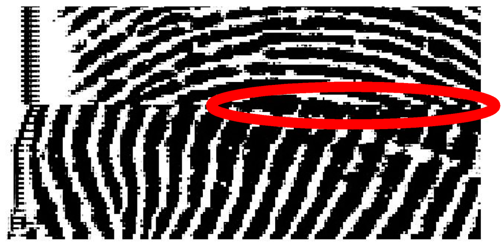 Sensors 15 07807 g004 1024