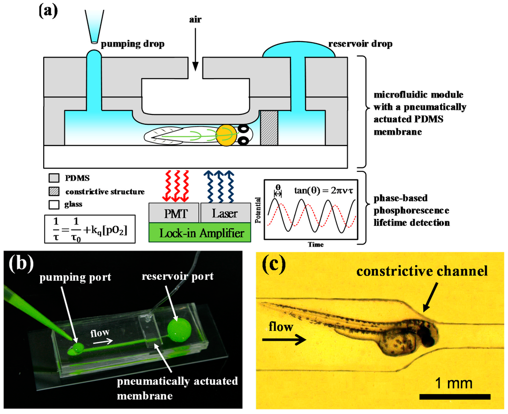 Sensors 15 08146 g001 1024