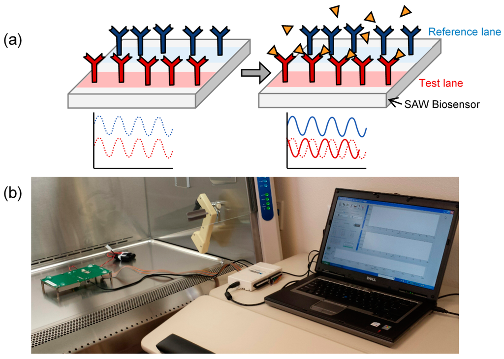 Sensors 15 08605 g001 1024