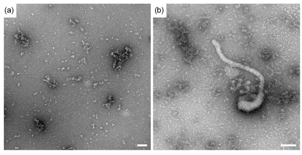 Sensors 15 08605 g002 1024