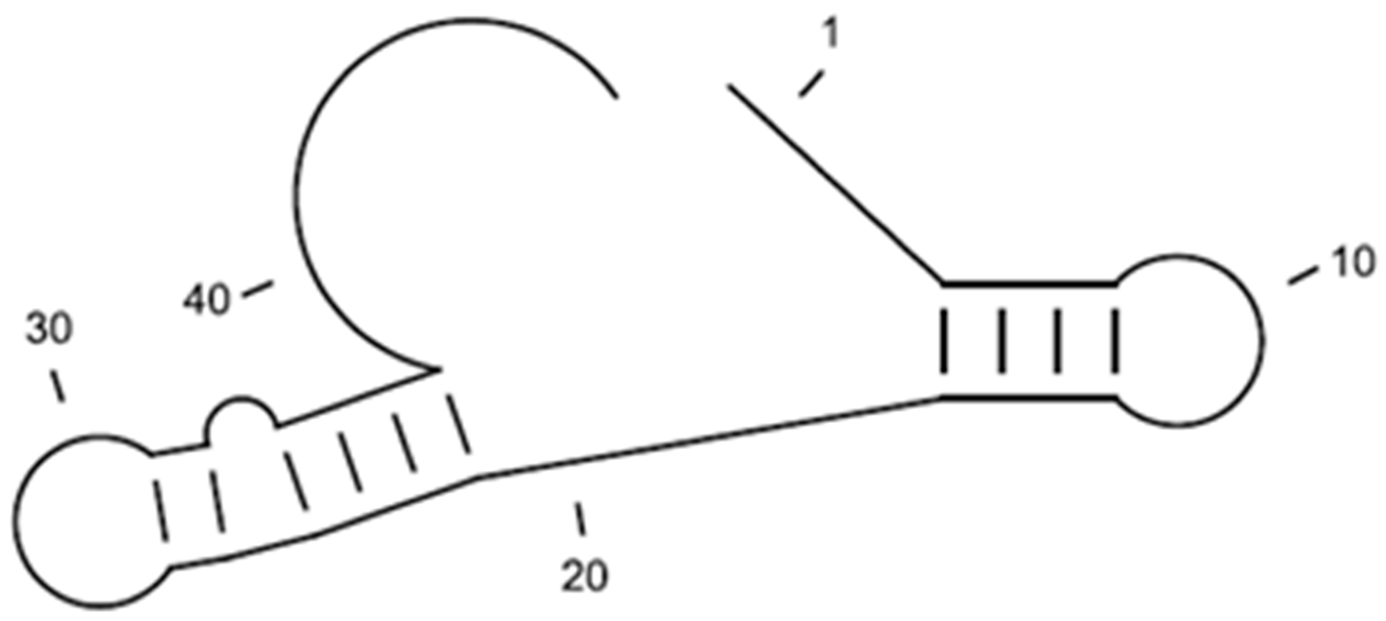 Sensors 15 08884 g005