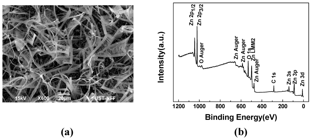 Sensors 15 08919 g004 1024