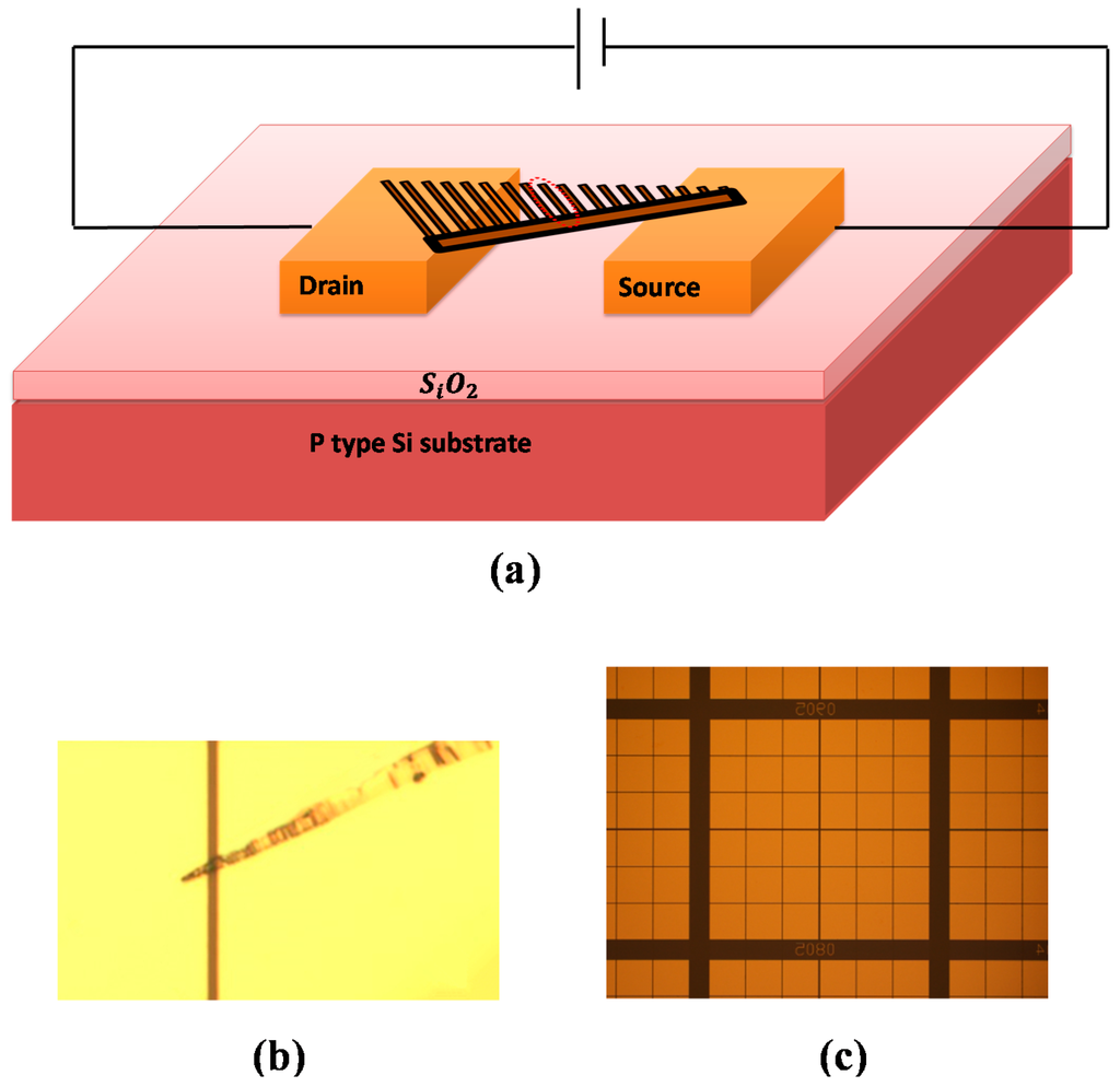 Sensors 15 08919 g005 1024