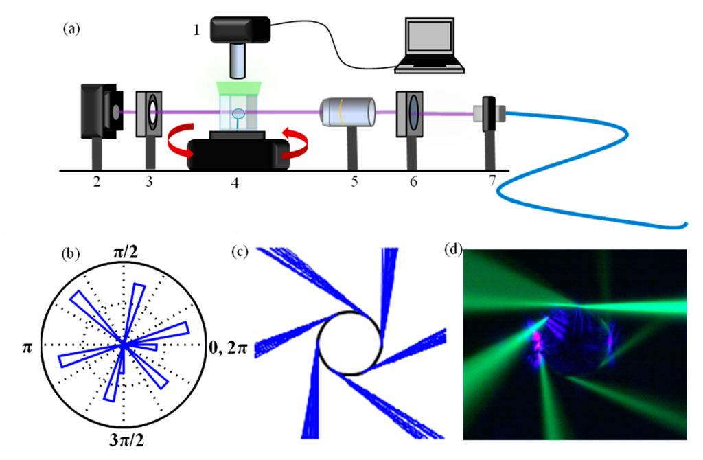 Sensors 15 08968 g003 1024