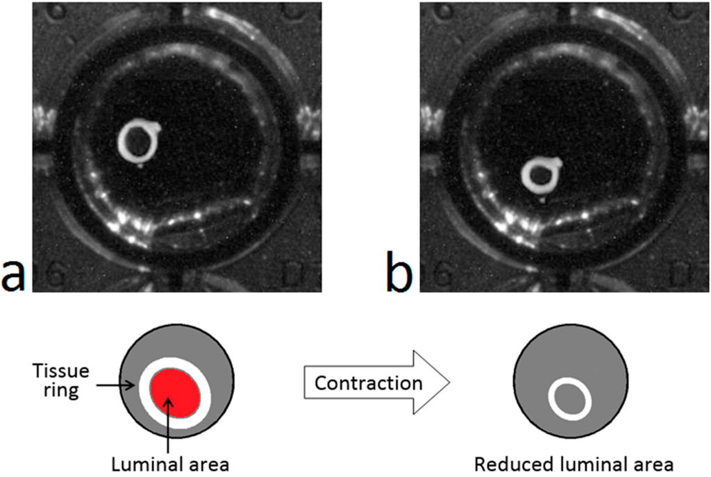 Sensors 15 09179 g001 1024