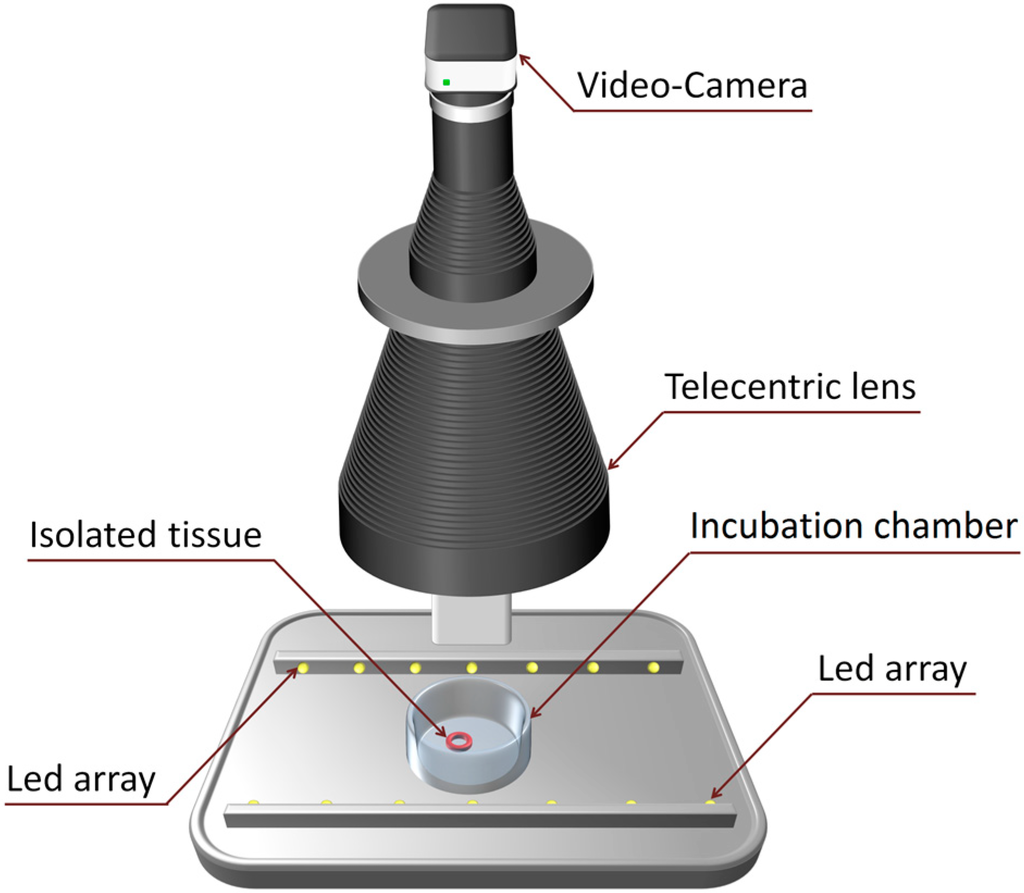 Sensors 15 09179 g002 1024
