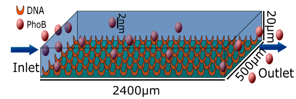 Sensors 15 09251 g006 1024
