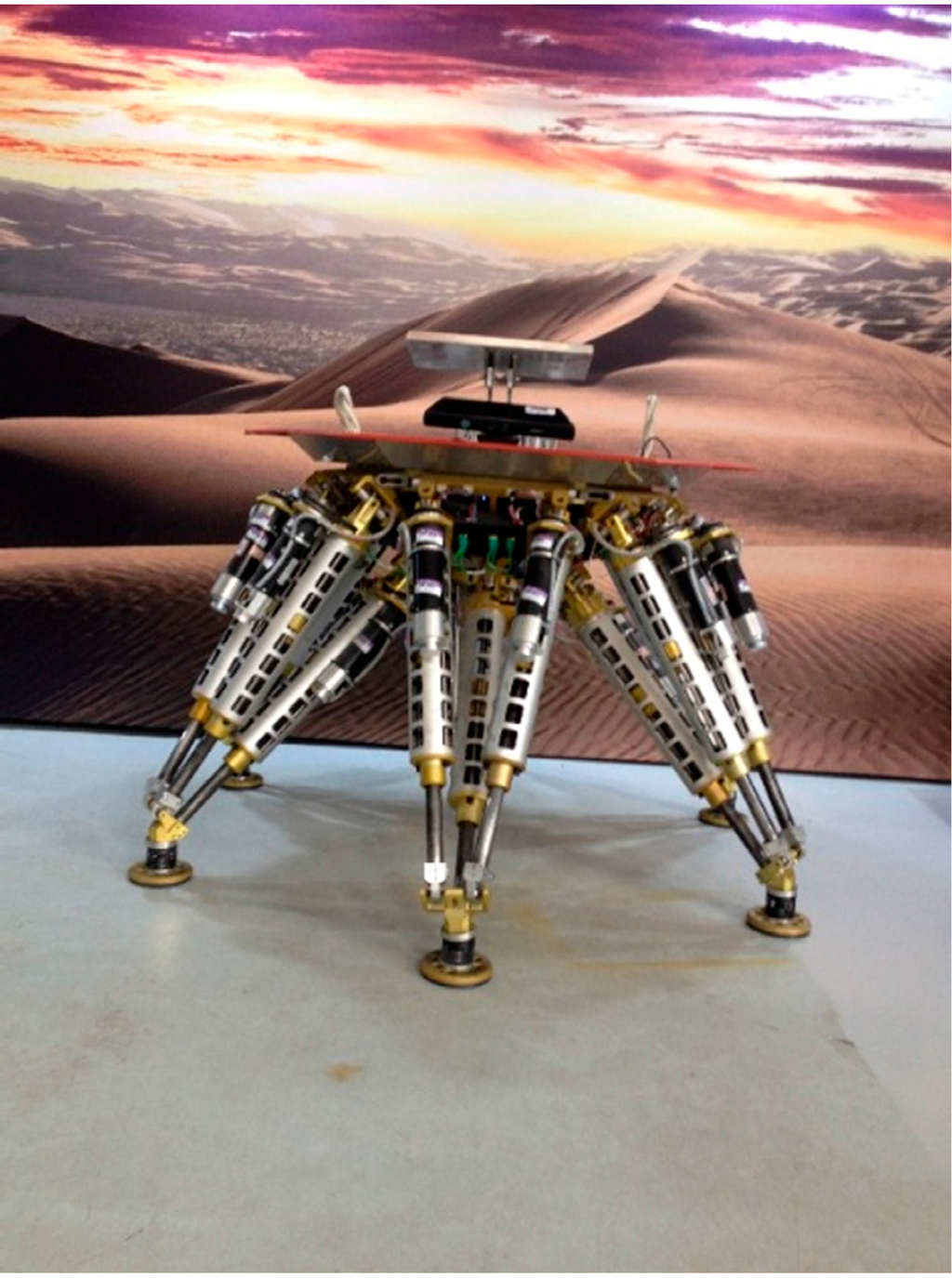 Sensors 15 09519 g001 1024