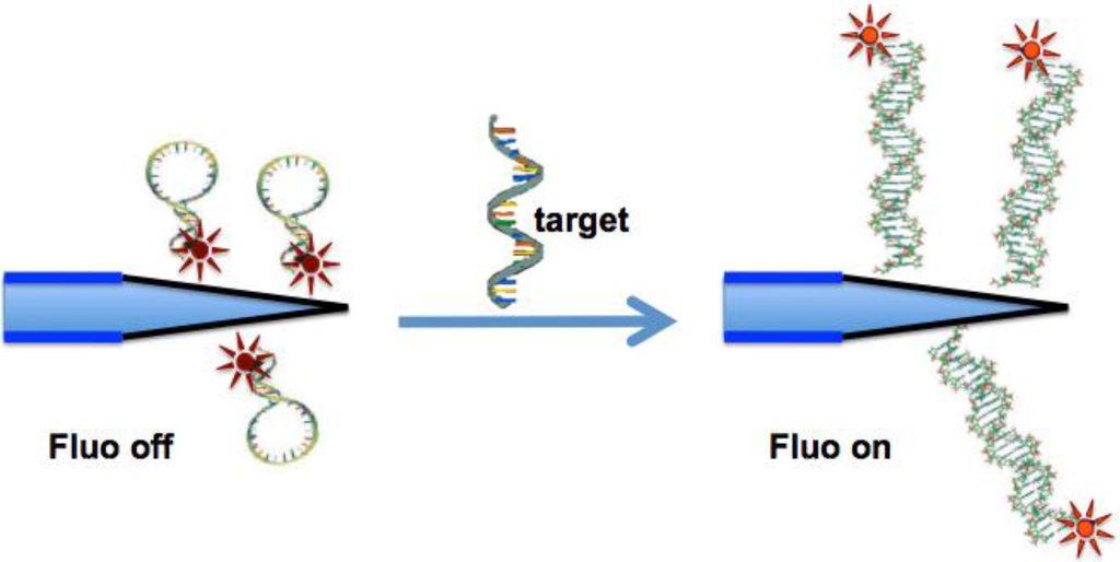 Sensors 15 09666 g001 1024
