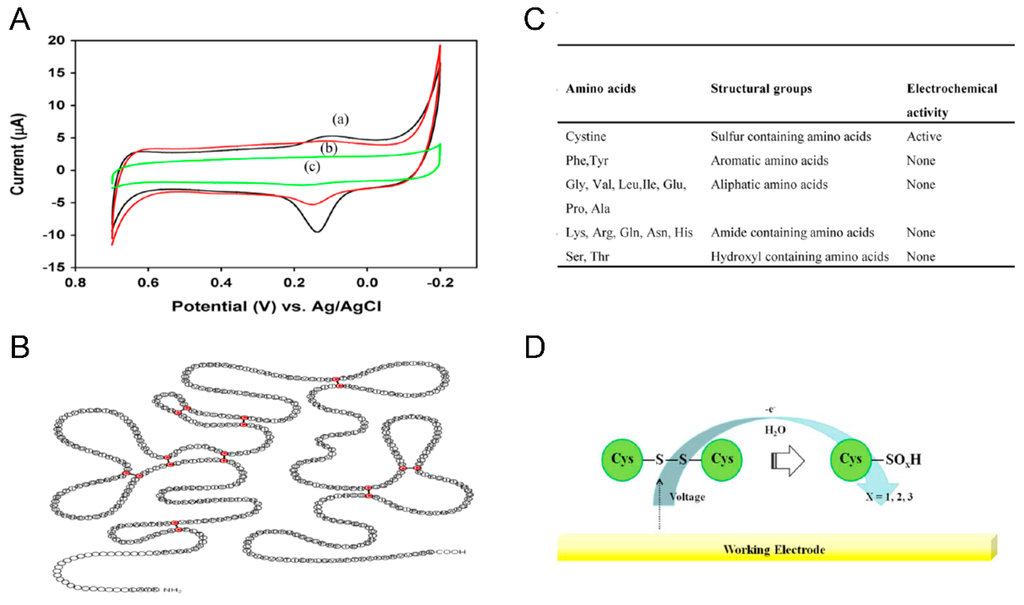 Sensors 15 09915 g002 1024