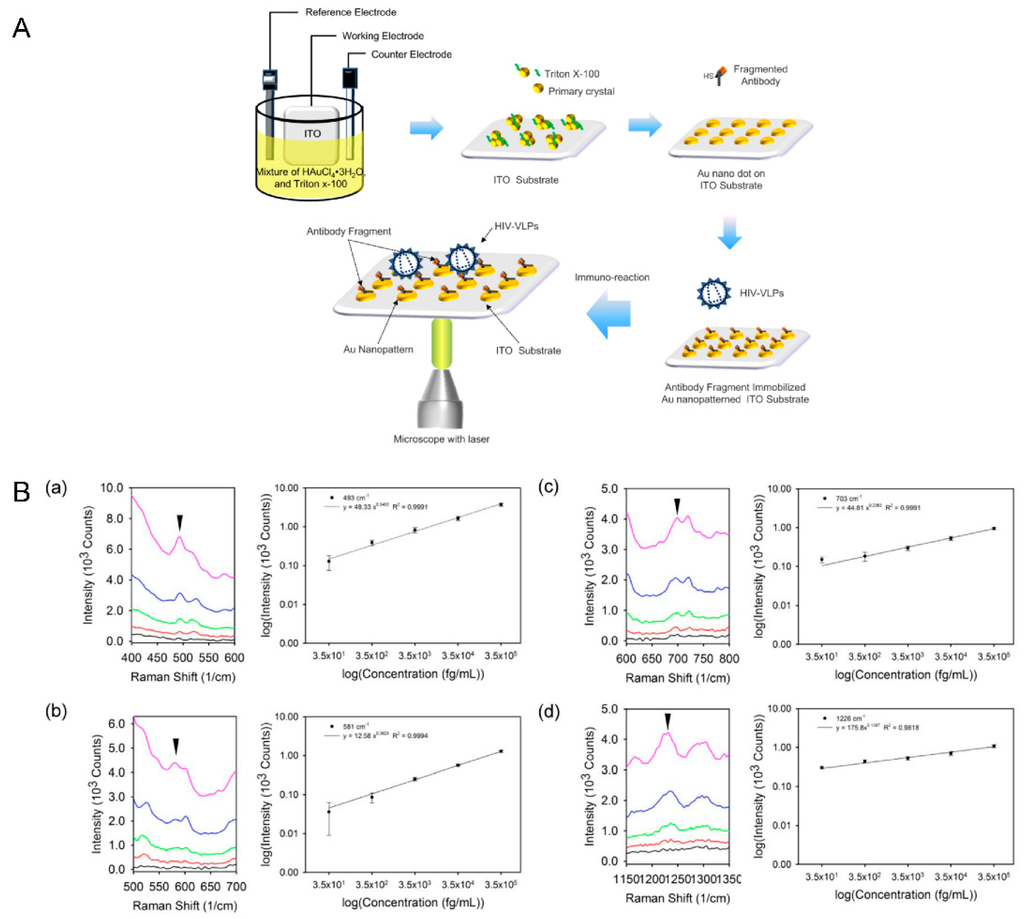 Sensors 15 09915 g004 1024