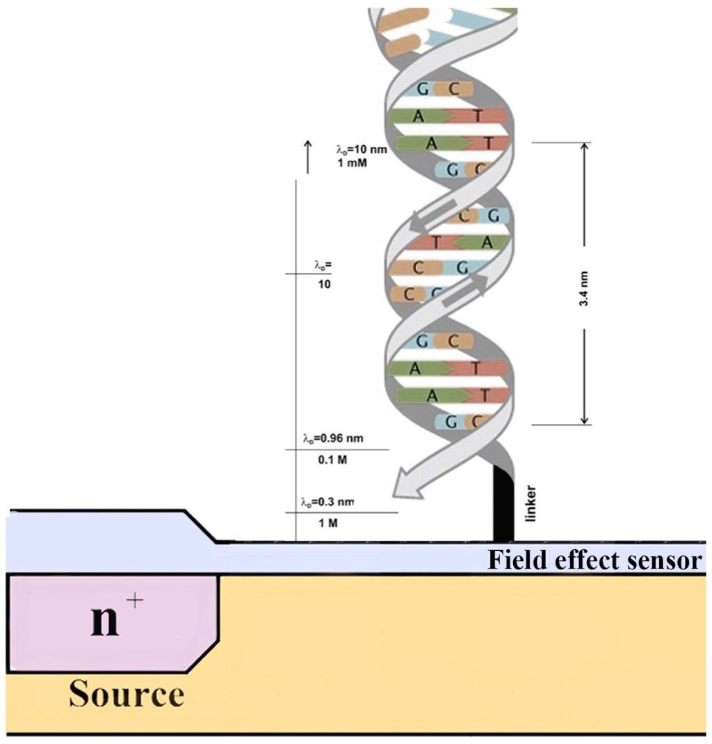 Sensors 15 10380 g002 1024