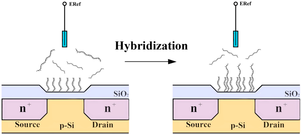 Sensors 15 10380 g004 1024