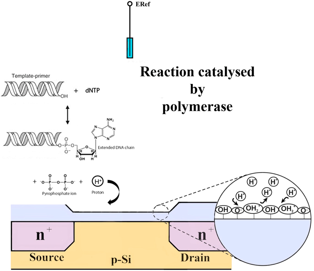 Sensors 15 10380 g005 1024
