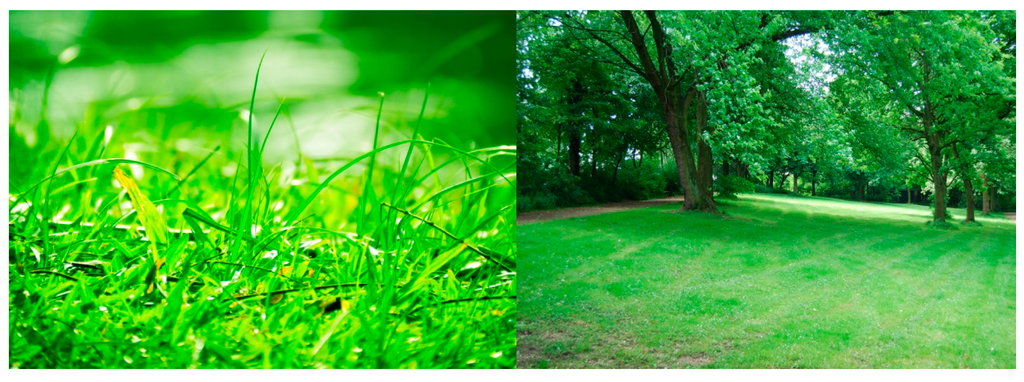 Sensors 15 10825 g018 1024