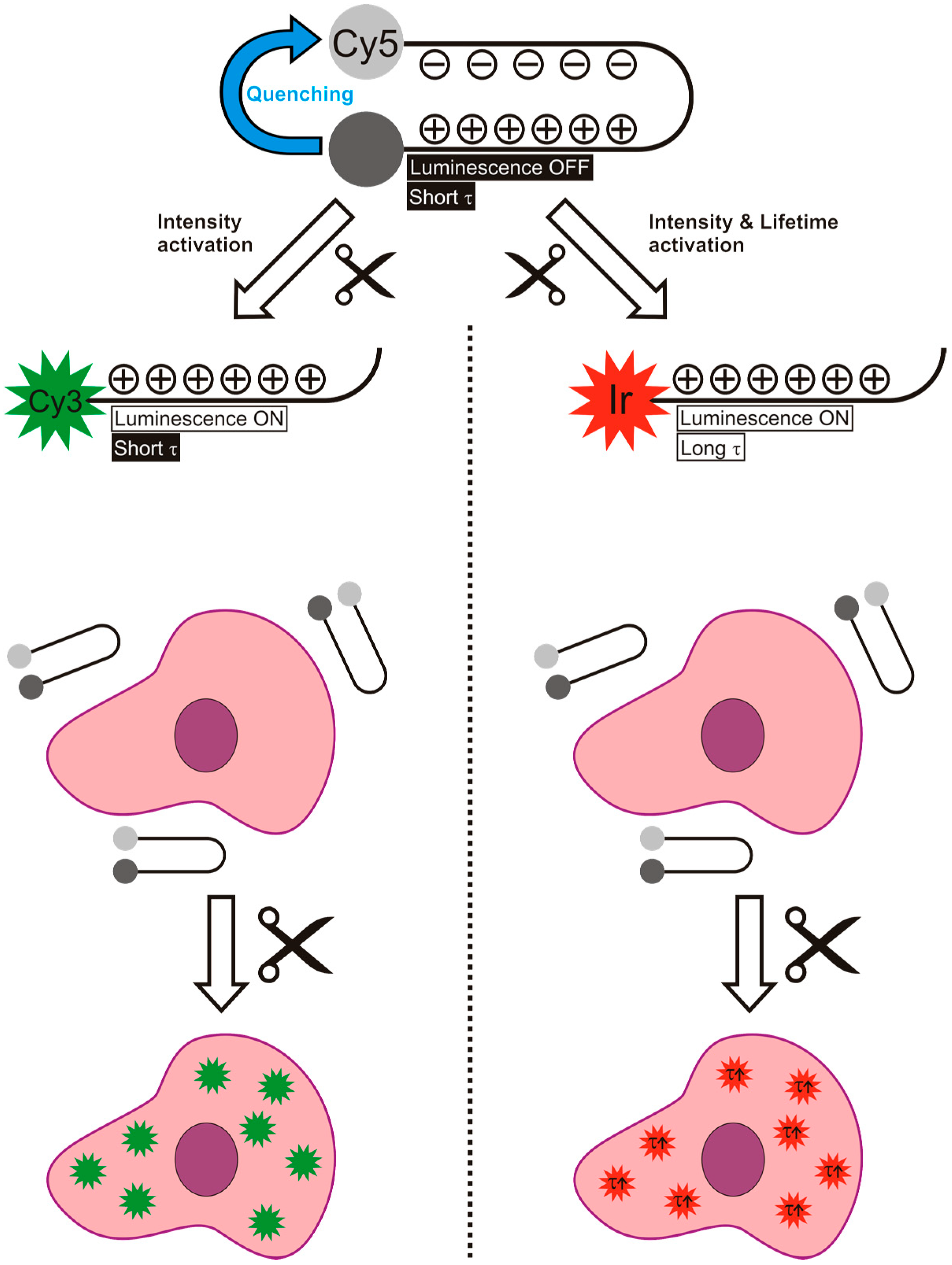 Sensors 15 11076 g001