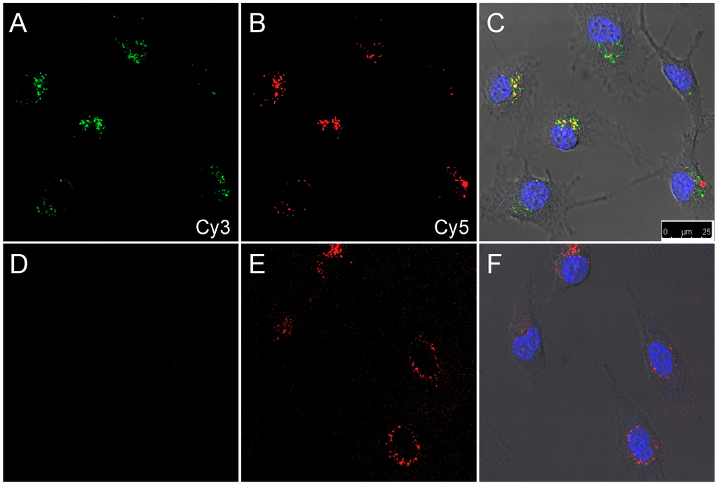 Sensors 15 11076 g004 1024