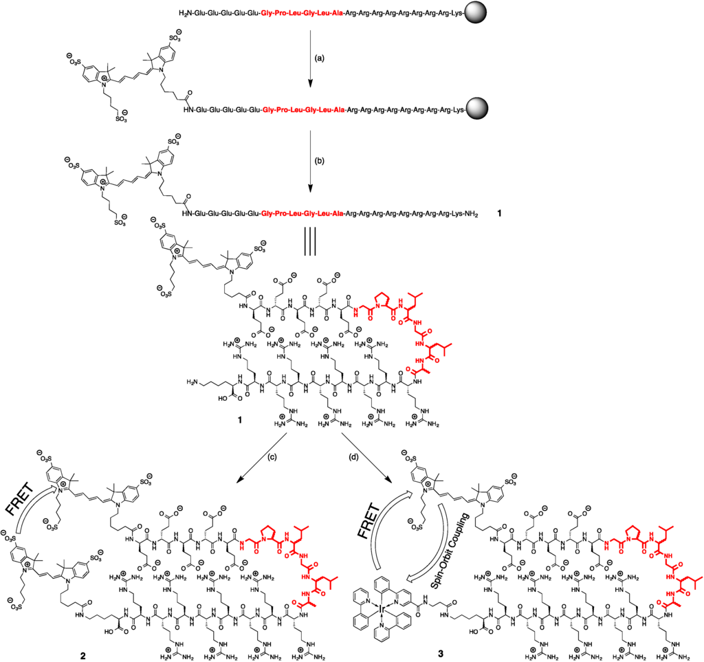 Sensors 15 11076 g007 1024