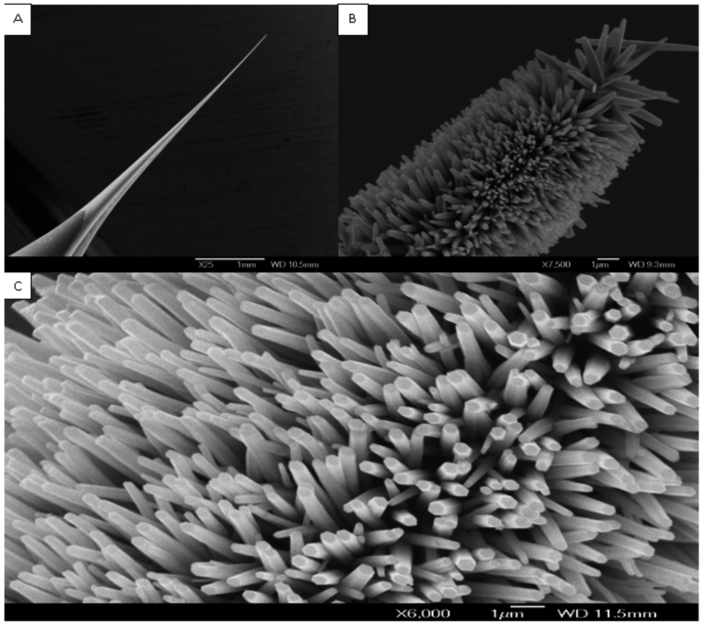 Sensors 15 11787 g001 1024