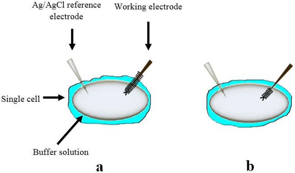 Sensors 15 11787 g005 1024