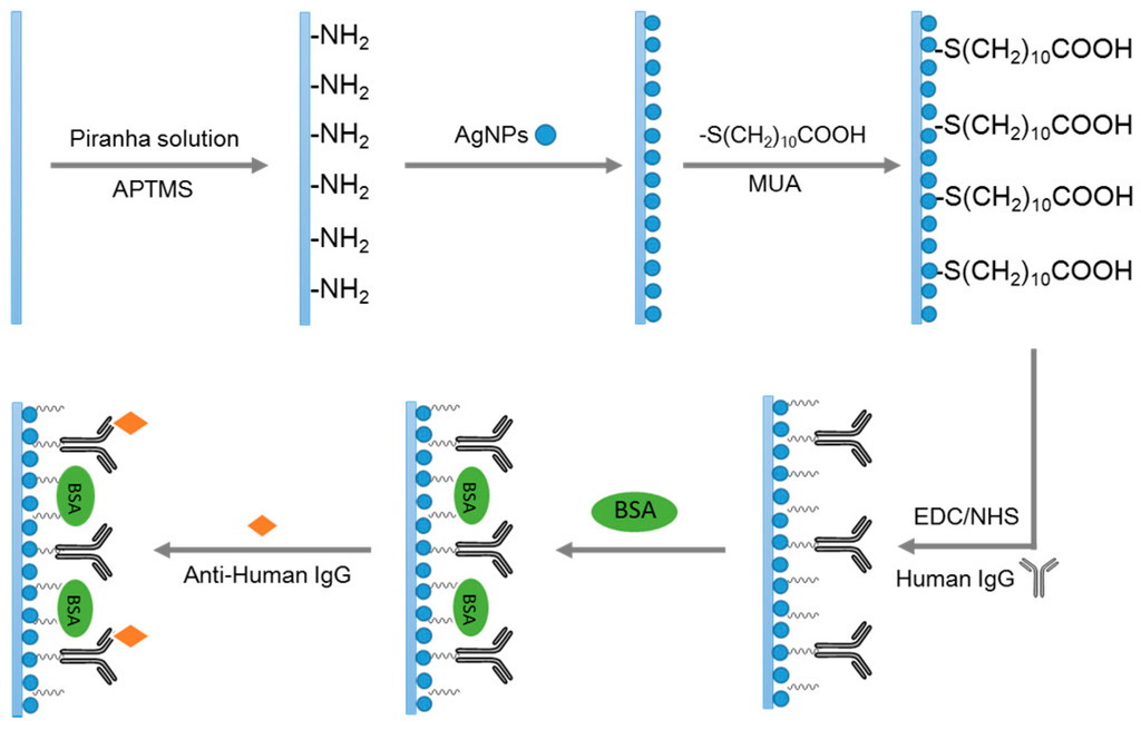 Sensors 15 12205 g001 1024