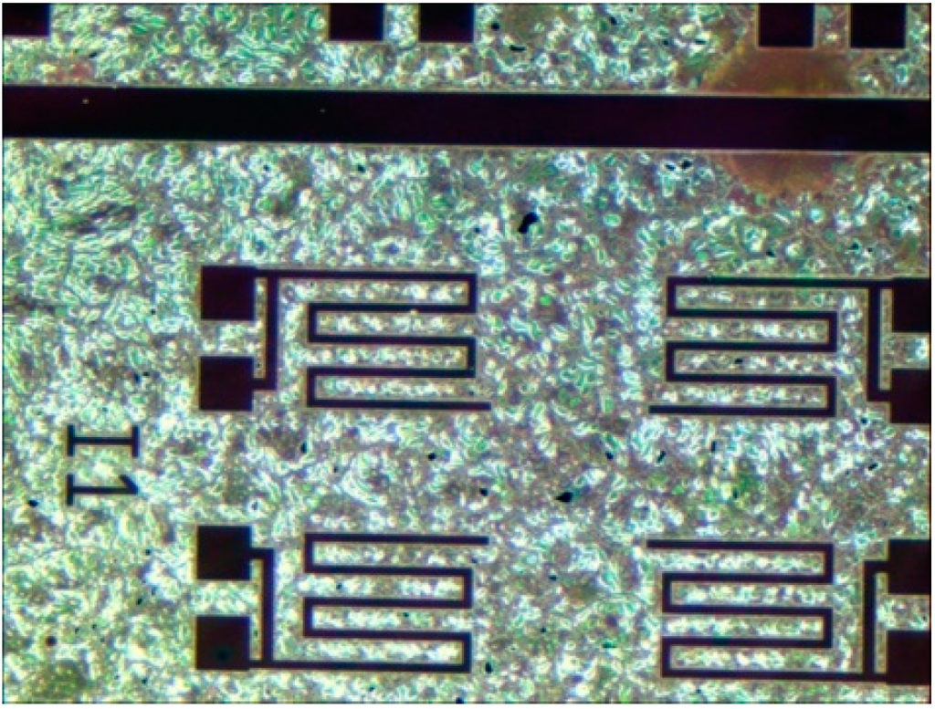 Sensors 15 12218 g006 1024