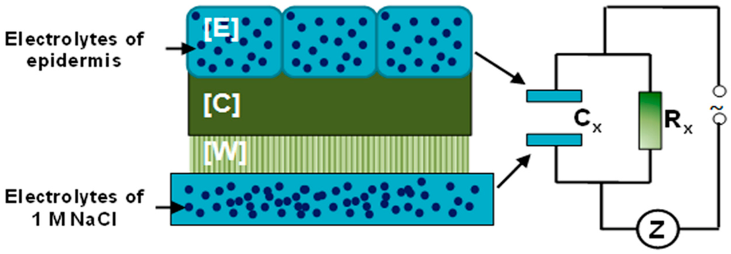 Sensors 15 12498 g003 1024