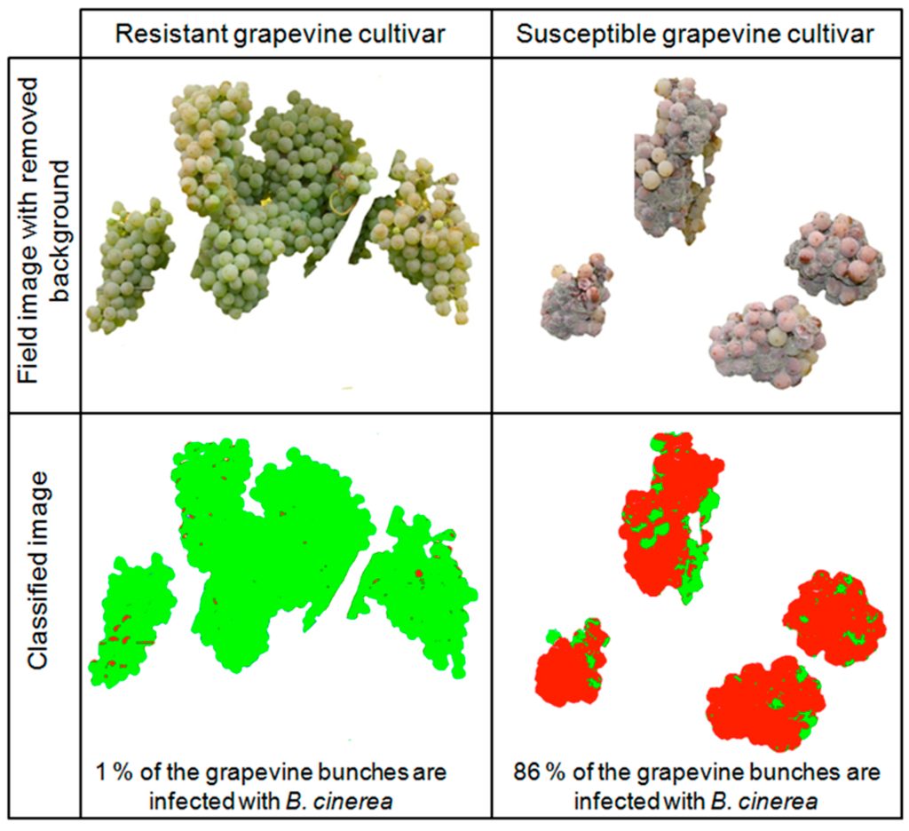 Sensors 15 12498 g008 1024