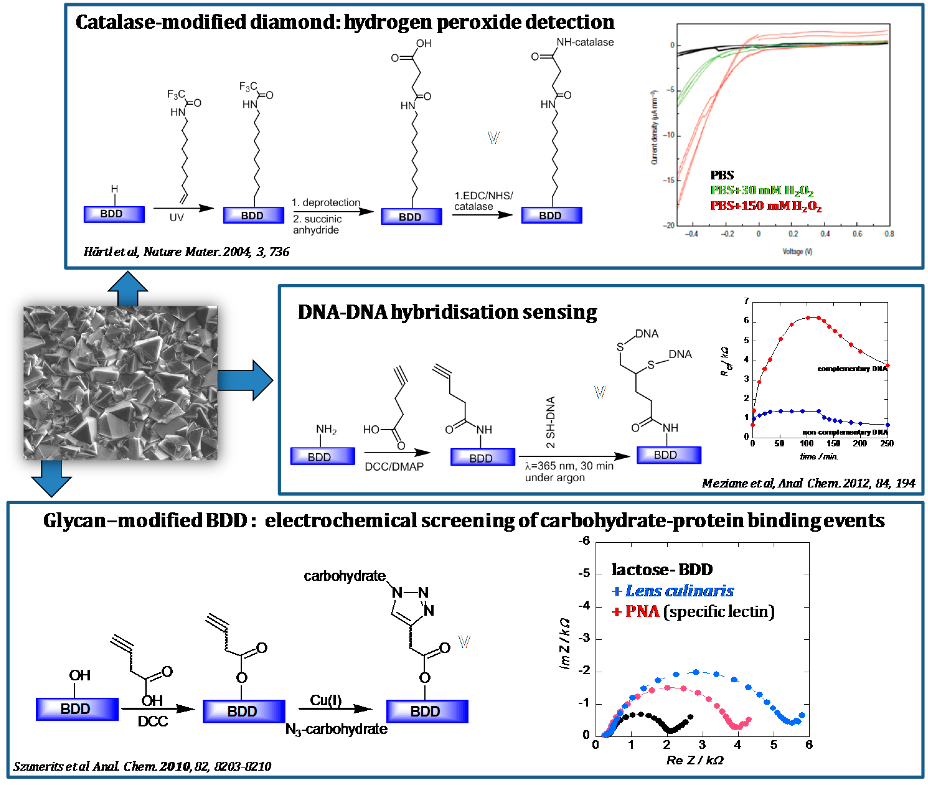 Sensors 15 12573 g001