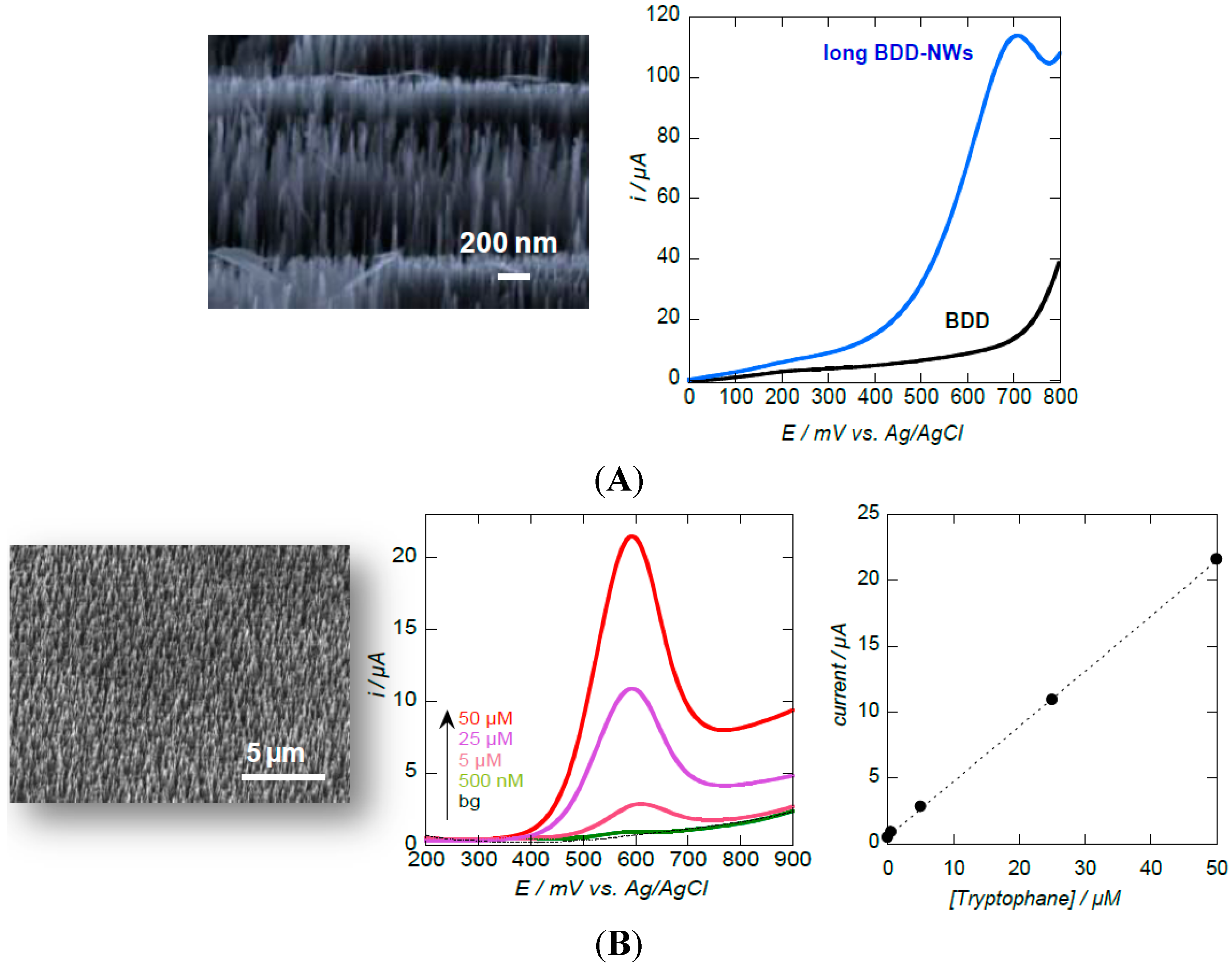 Sensors 15 12573 g009