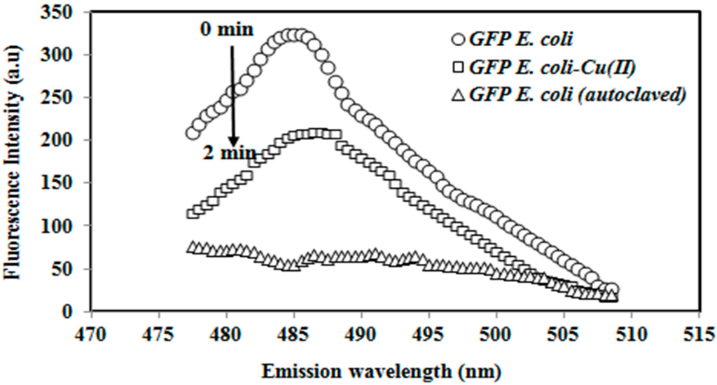 Sensors 15 12668 g001 1024